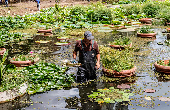 jardin_botanico_noticias