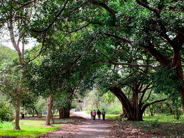 jardin_botanico_noticias_3
